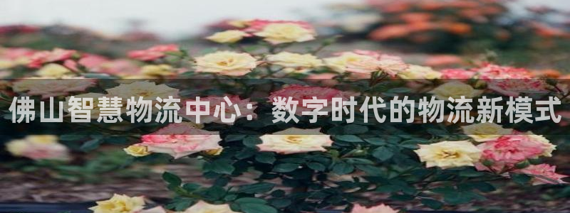 旺財28官網入口pc是詐騙嗎?：佛山