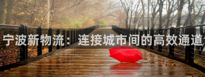 旺財28怎么注冊賬號和密碼：寧波新物