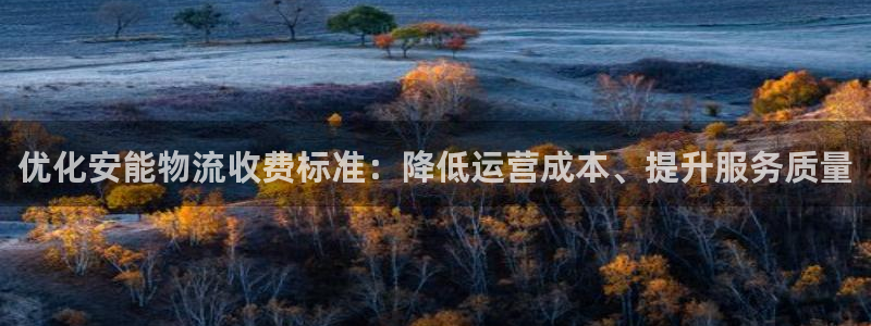 旺財28下載不了：優(yōu)化安能物流收費標