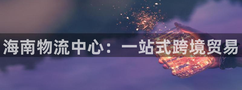 旺財28鏈接：海南物流中心：一站式跨