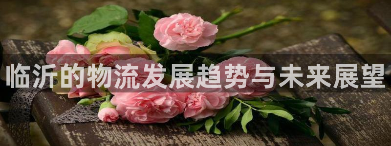 旺財28下載體育：臨沂的物流發展趨勢