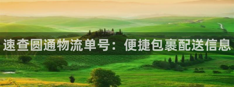 旺財28官網開獎結果預測：速查圓通物