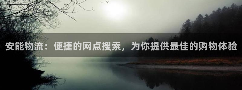 旺財28預測加拿大師準：安能物流：便