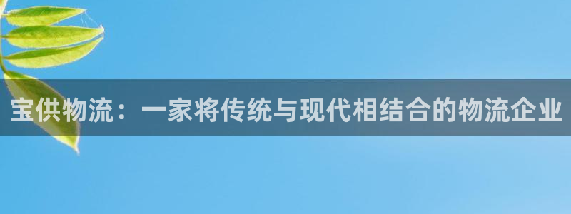 旺財28下載入口：寶供物流：一家將傳