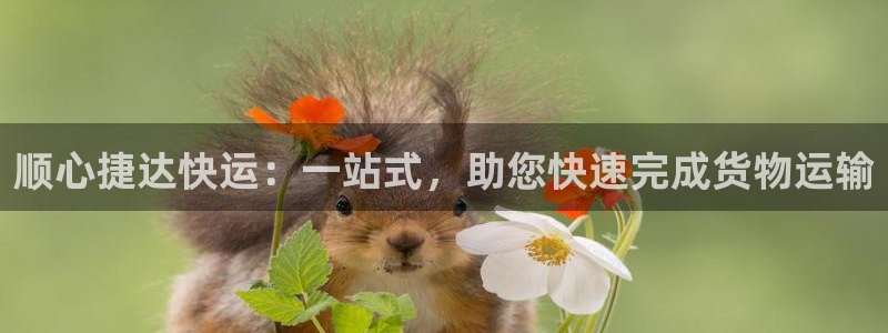 旺財28里的財神：順心捷達快運：一站