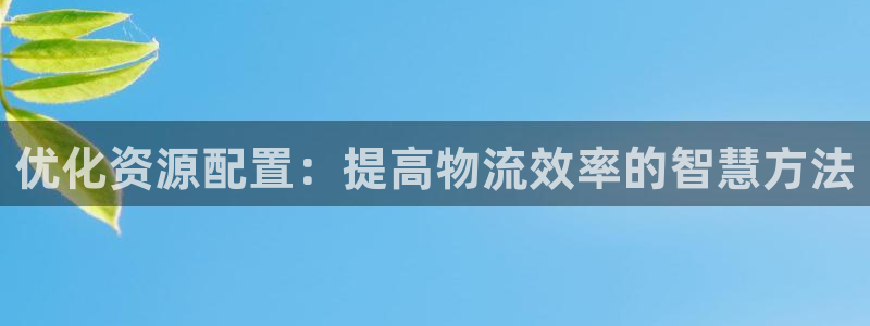 旺財28返水怎么算的：優化資源配置：