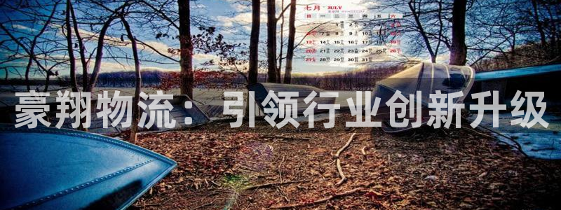 旺財(cái)28加拿大技巧：豪翔物流：引領(lǐng)行