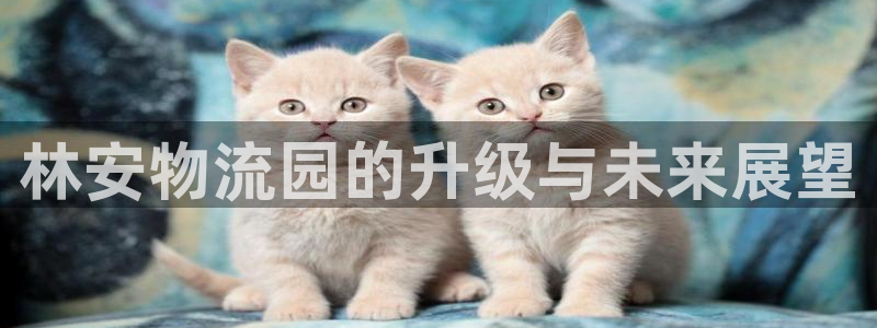 旺財28黑不黑：林安物流園的升級與未