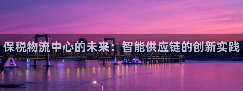 旺財28是啥：保稅物流中心的未來：智