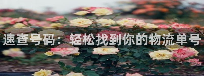 旺財(cái)28電子：速查號(hào)碼：輕松找到你的