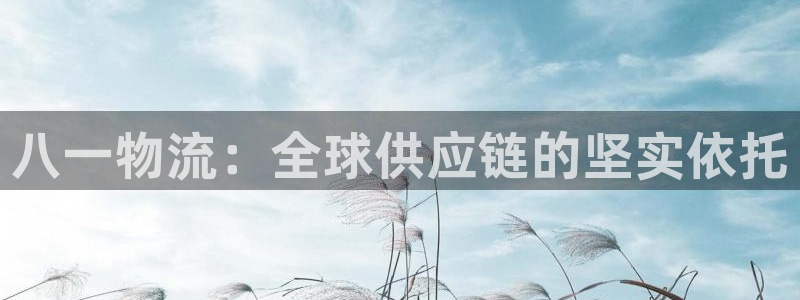 旺財28p扣除是什么意思：八一物流：