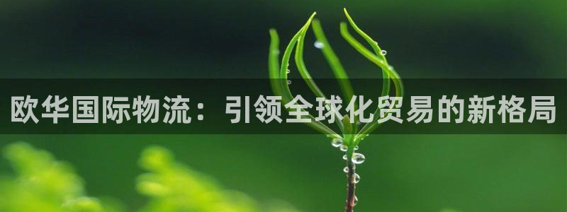 旺財28官網多少：歐華國際物流：引領
