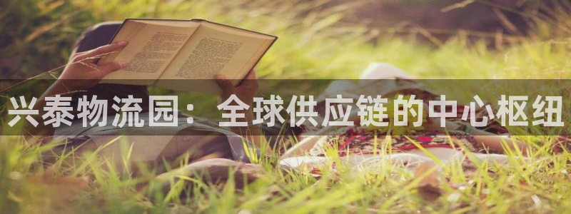 旺財28官網入口正版：興泰物流園：全