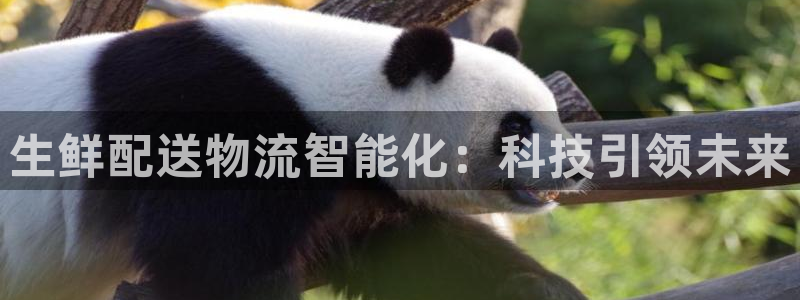 旺財28旗下：生鮮配送物流智能化：科