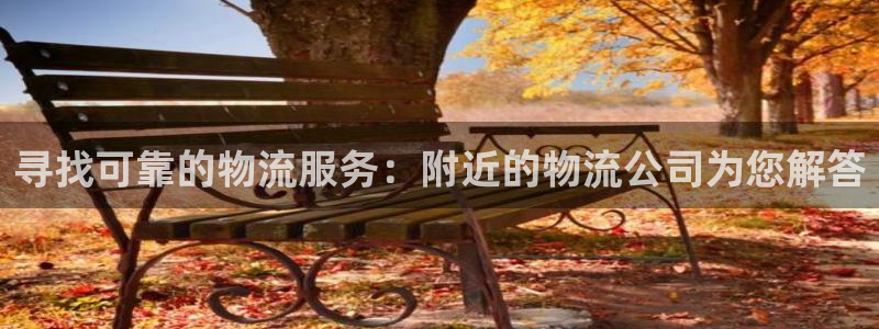 加拿大旺財(cái)28是什么：尋找可靠的物流服務(wù)：附近的物流公司為您