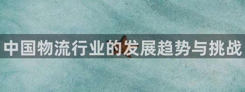 旺財28人頭費：中國物流行業的發展趨