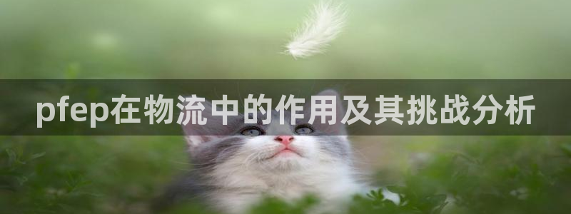 旺財(cái)28模擬器下載：pfep在物流中的作用及其挑戰(zhàn)分析
