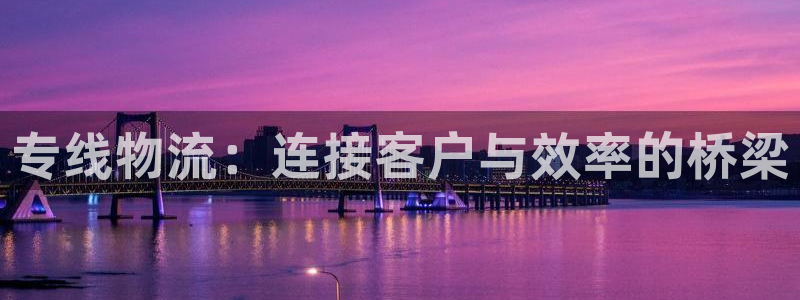 旺財28網賭案件：專線物流：連接客戶