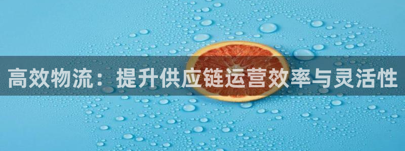 旺財28注冊官網：高效物流：提升供應