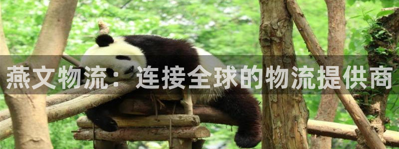 旺財28推廣鏈接是多少：燕文物流：連