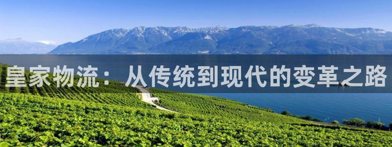 旺財28cn：皇家物流：從傳統到現代